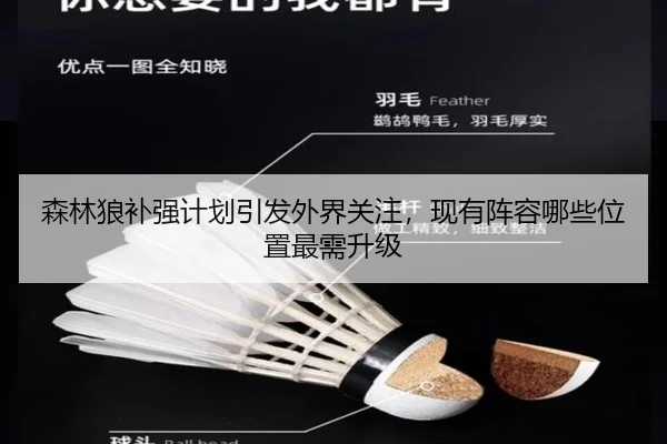 森林狼补强计划引发外界关注，现有阵容哪些位置最需升级